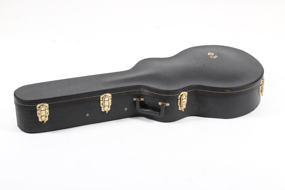 Vintage Ibanez Classical Acoustic/Electric Guitar with Case