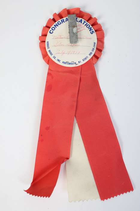 Pair of Vintage Horse Show Ribbon Awards