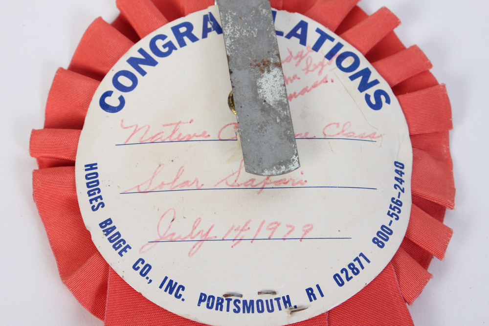 Pair of Vintage Horse Show Ribbon Awards