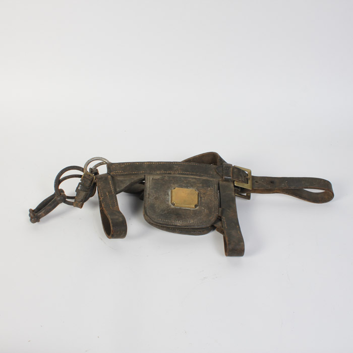 Leather Horse Bridle with Blinders