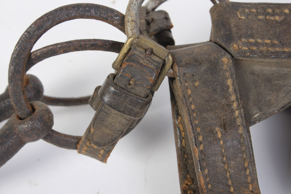 Leather Horse Bridle with Blinders