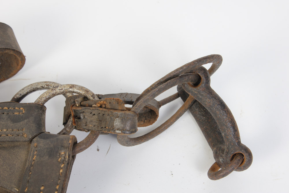 Leather Horse Bridle with Blinders