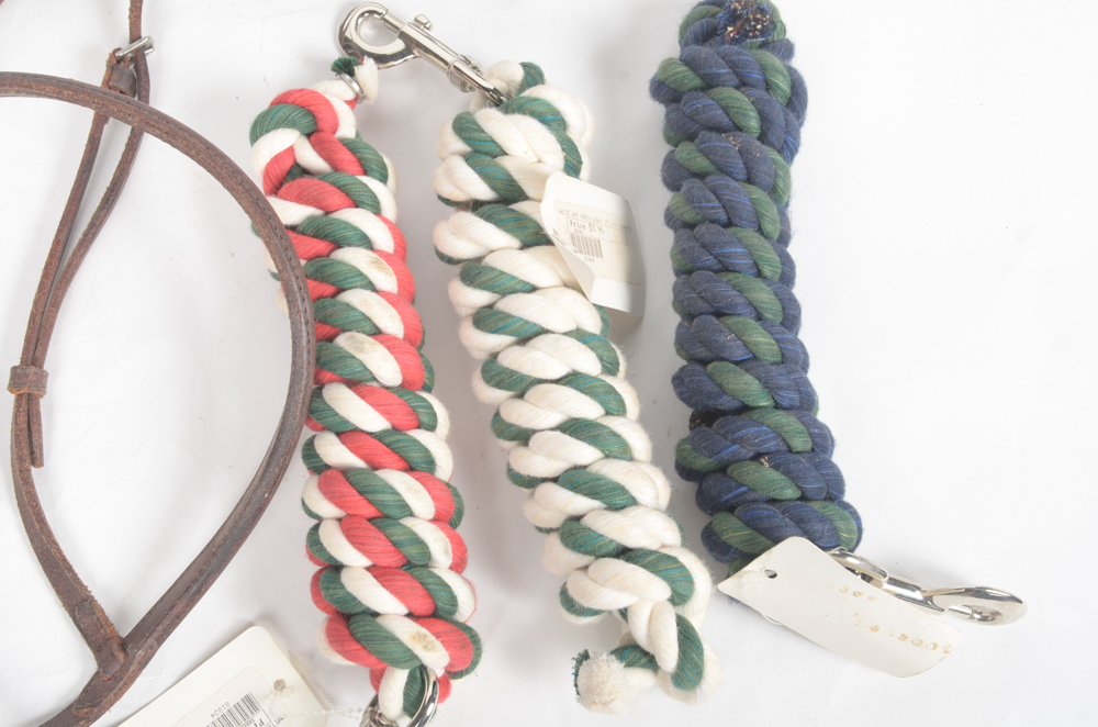 Leather Bridle with Three Rope Leads