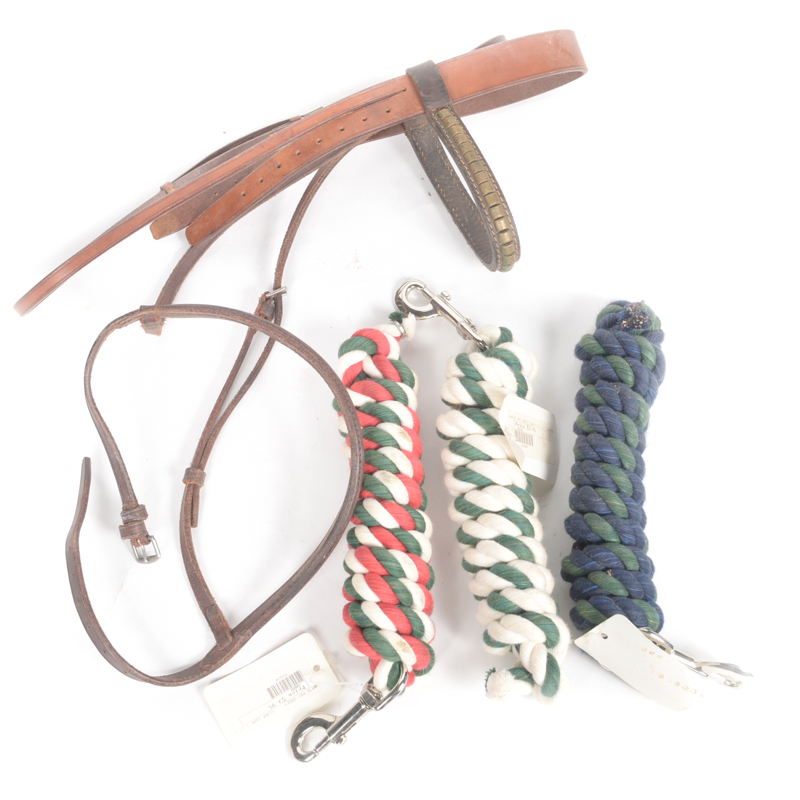 Leather Bridle with Three Rope Leads