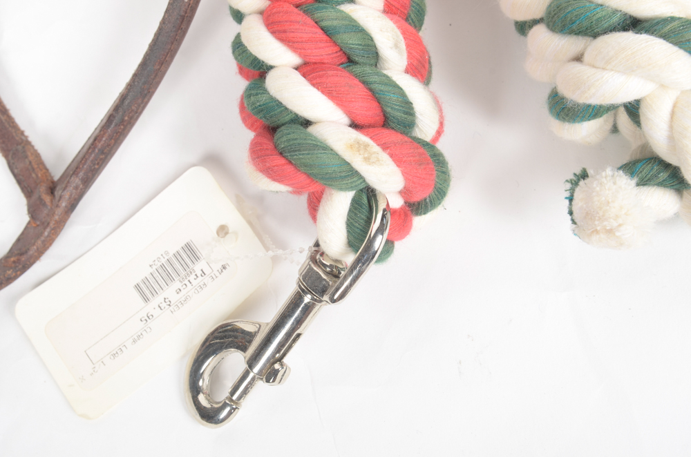 Leather Bridle with Three Rope Leads