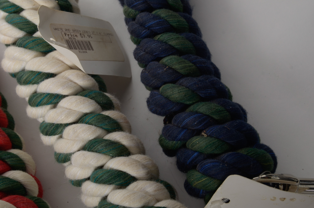 Leather Bridle with Three Rope Leads