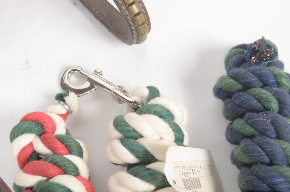 Leather Bridle with Three Rope Leads