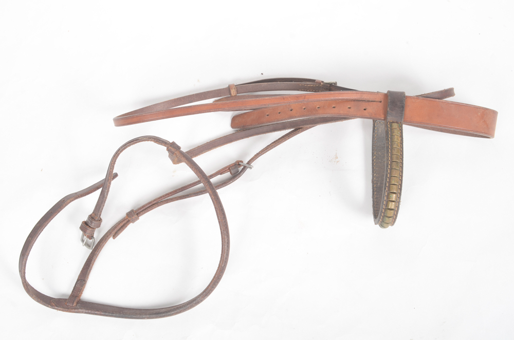 Leather Bridle with Three Rope Leads