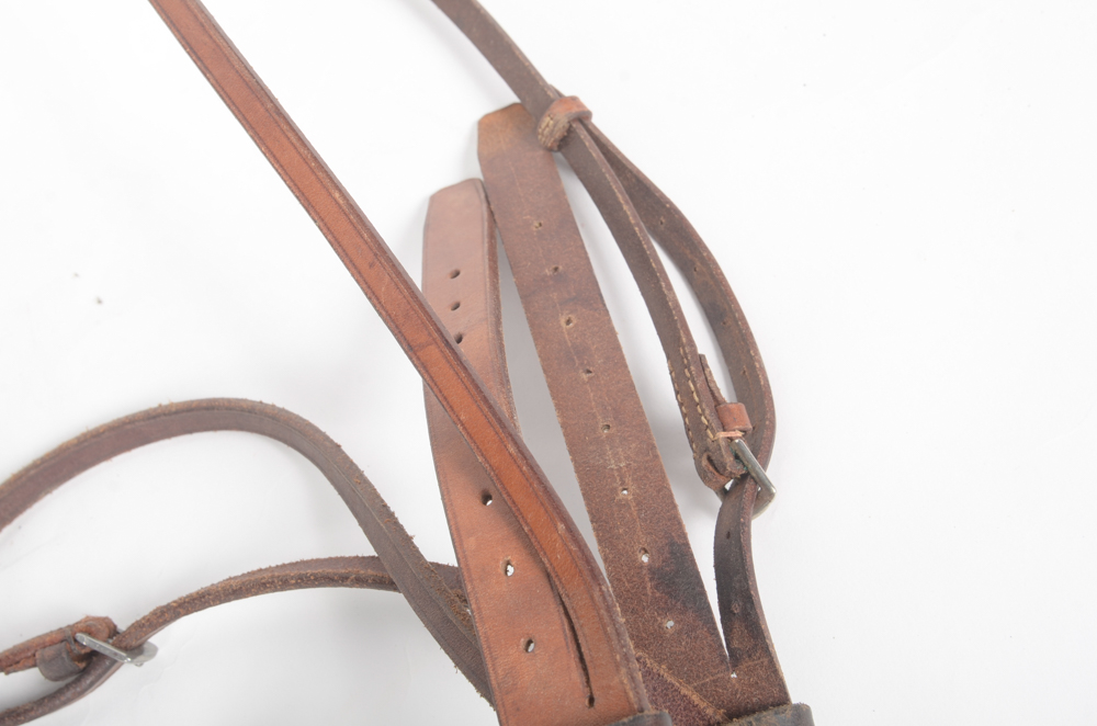 Leather Bridle with Three Rope Leads