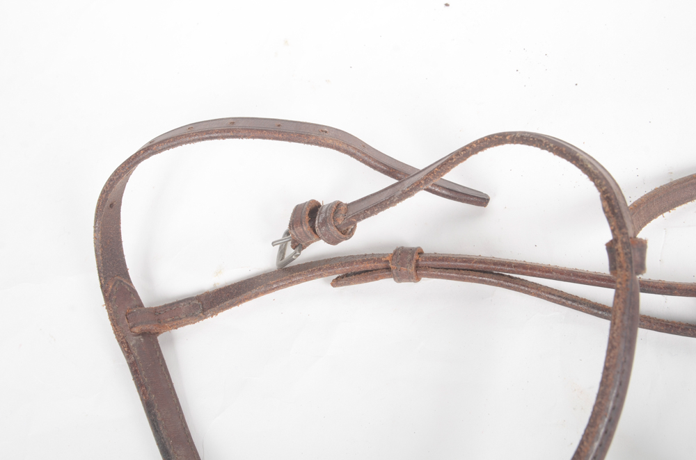 Leather Bridle with Three Rope Leads