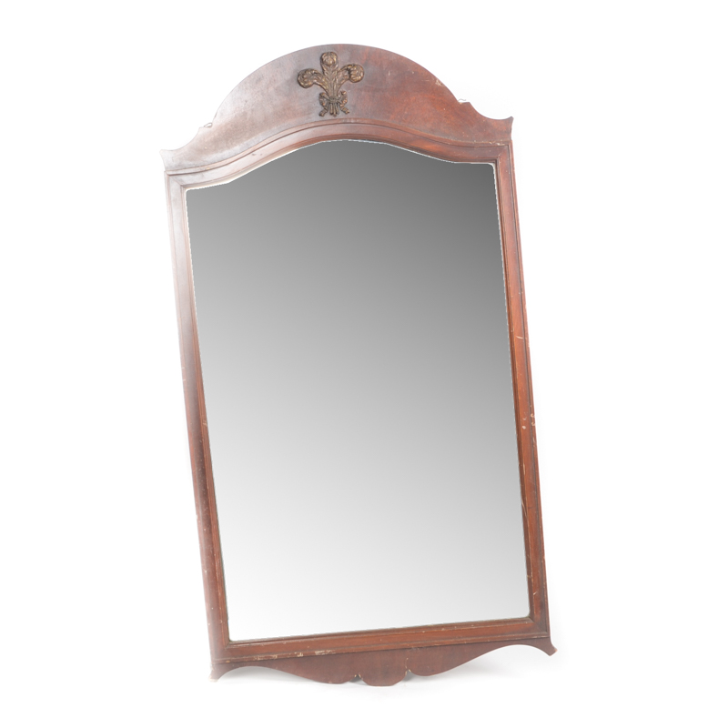 Wood Framed Wall Mirror with Carved Feather Accent