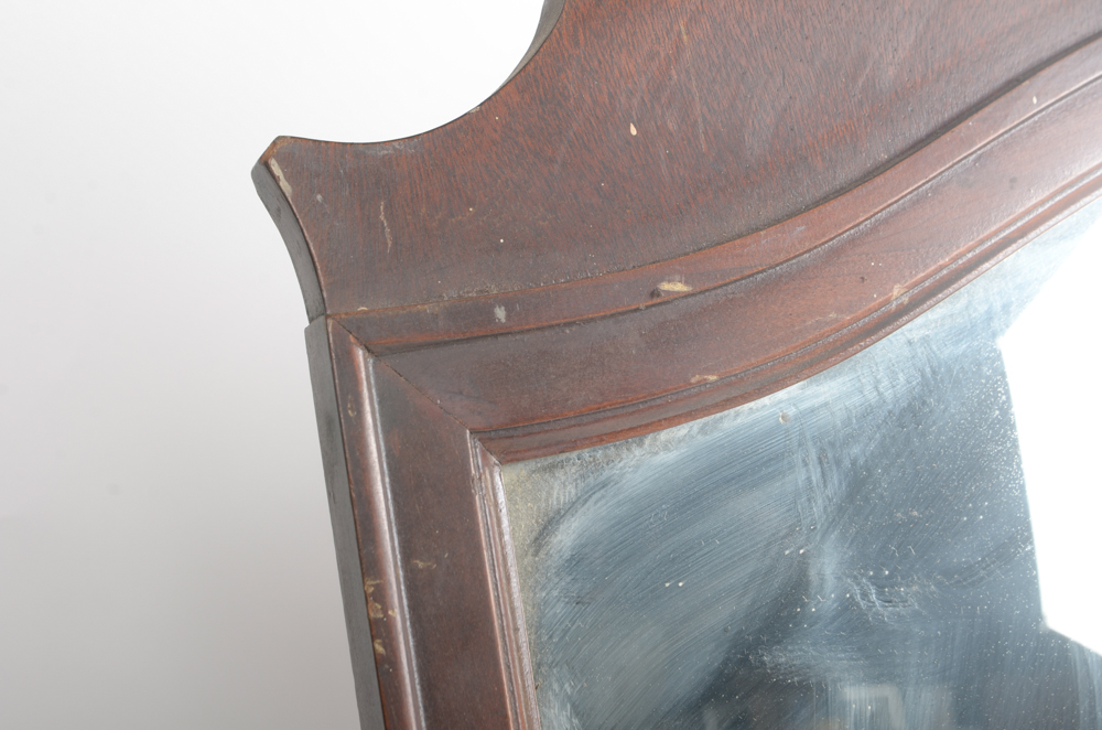 Wood Framed Wall Mirror with Carved Feather Accent