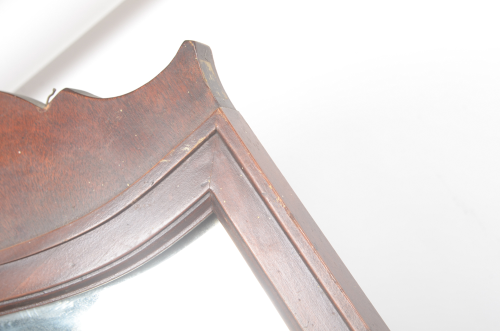 Wood Framed Wall Mirror with Carved Feather Accent