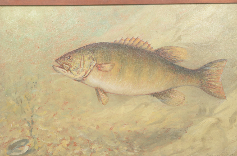 Howard T. Hopes Oil Painting on Board "Bronze Back Small Mouth Black Bass"