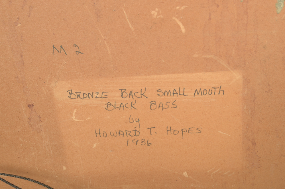 Howard T. Hopes Oil Painting on Board "Bronze Back Small Mouth Black Bass"