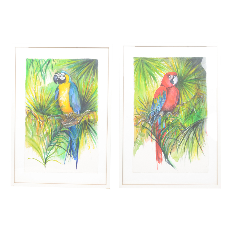Mary-Clare Cornwallis Watercolor Paintings on Paper of Parrots