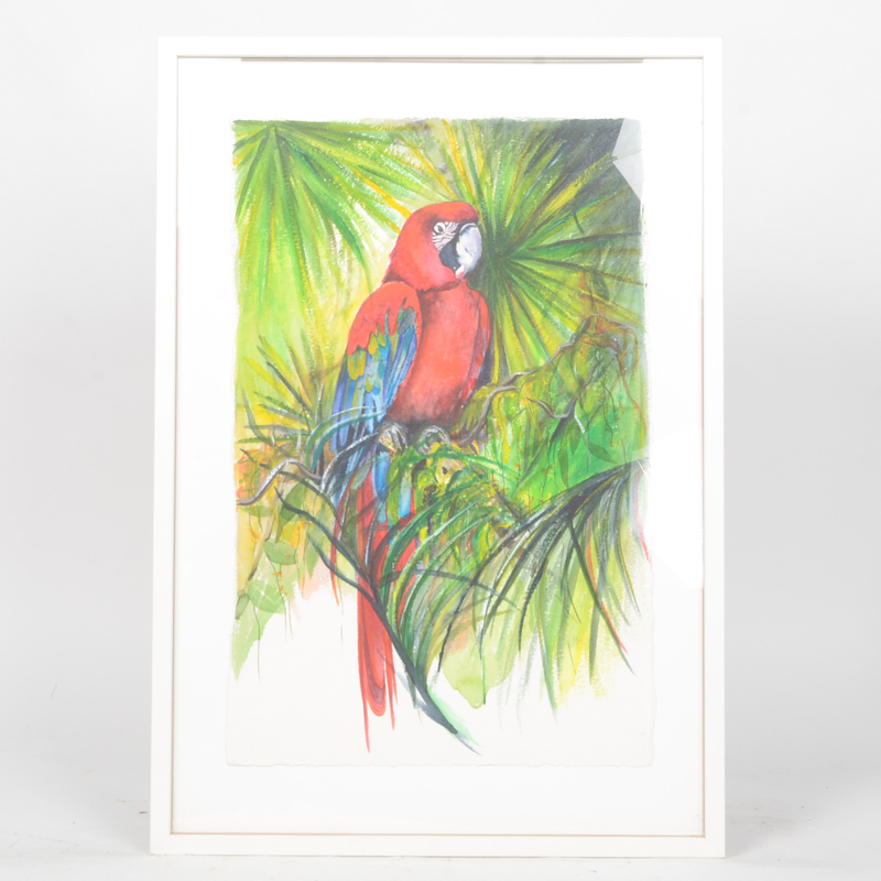 Mary-Clare Cornwallis Watercolor Paintings on Paper of Parrots