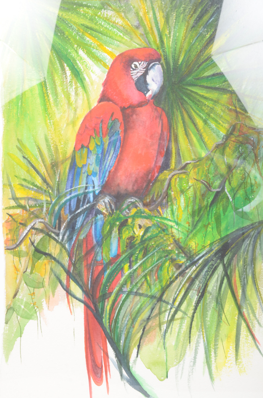 Mary-Clare Cornwallis Watercolor Paintings on Paper of Parrots