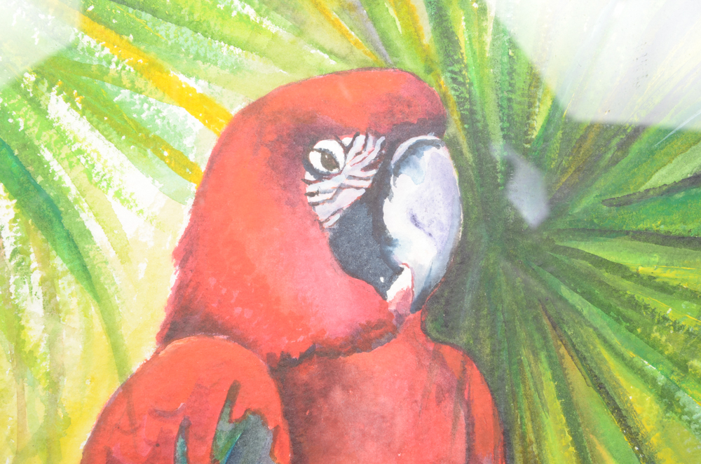 Mary-Clare Cornwallis Watercolor Paintings on Paper of Parrots