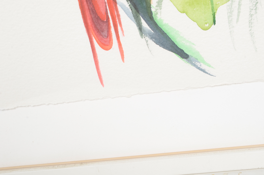 Mary-Clare Cornwallis Watercolor Paintings on Paper of Parrots