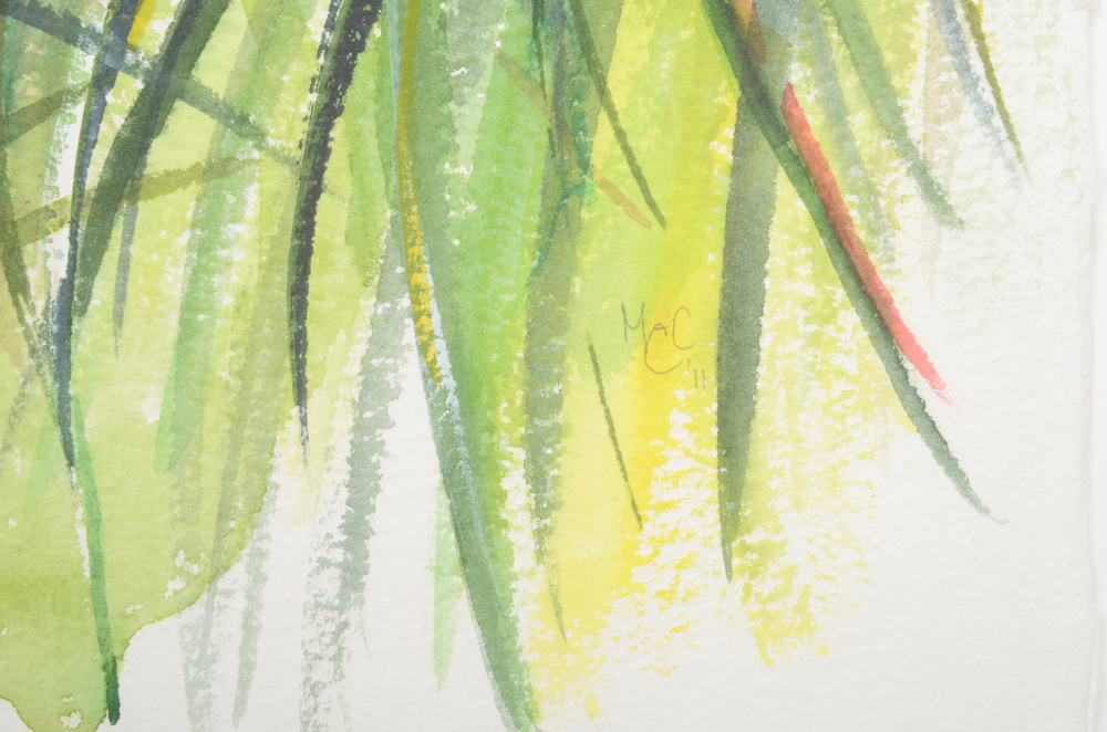 Mary-Clare Cornwallis Watercolor Paintings on Paper of Parrots