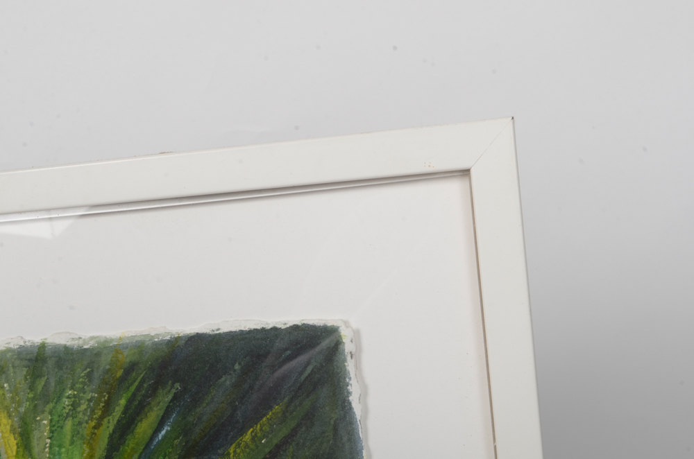 Mary-Clare Cornwallis Watercolor Paintings on Paper of Parrots