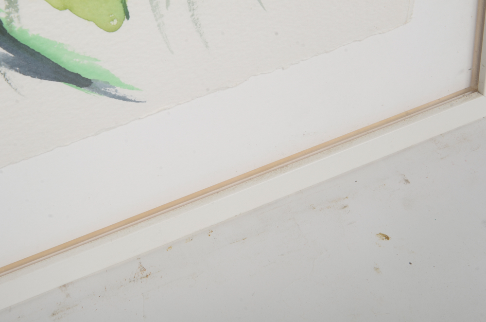 Mary-Clare Cornwallis Watercolor Paintings on Paper of Parrots