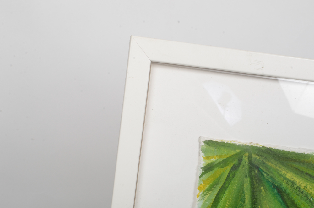 Mary-Clare Cornwallis Watercolor Paintings on Paper of Parrots