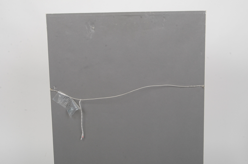 Mary-Clare Cornwallis Watercolor Paintings on Paper of Parrots