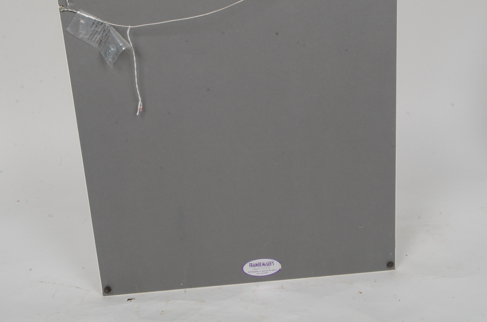 Mary-Clare Cornwallis Watercolor Paintings on Paper of Parrots