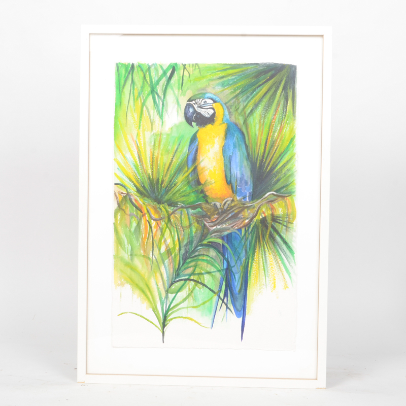 Mary-Clare Cornwallis Watercolor Paintings on Paper of Parrots