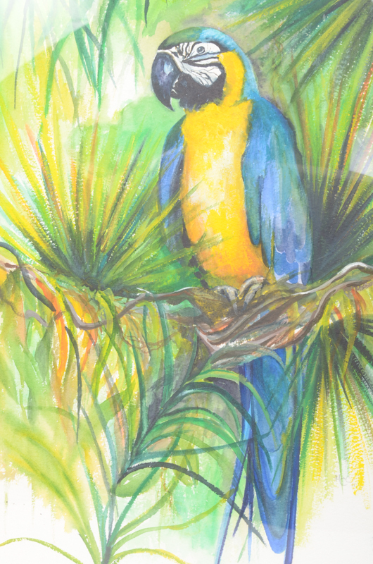 Mary-Clare Cornwallis Watercolor Paintings on Paper of Parrots