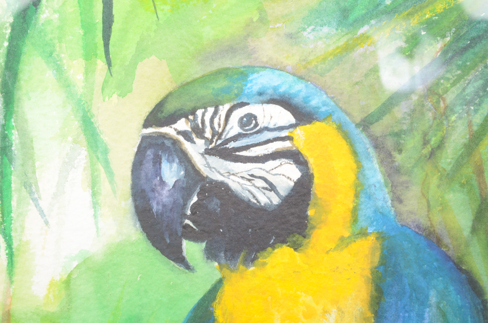 Mary-Clare Cornwallis Watercolor Paintings on Paper of Parrots