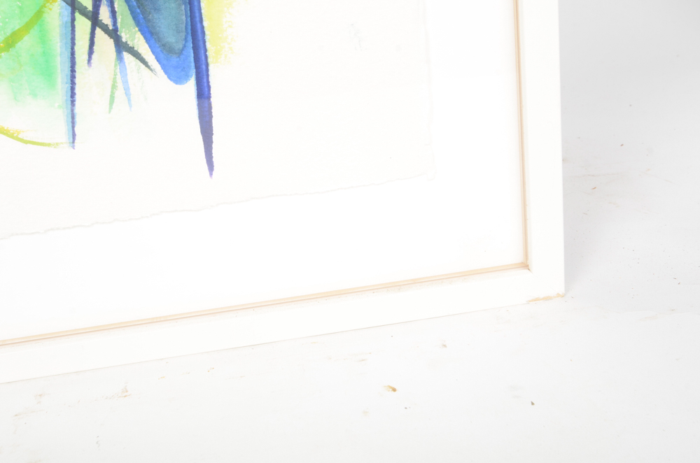 Mary-Clare Cornwallis Watercolor Paintings on Paper of Parrots