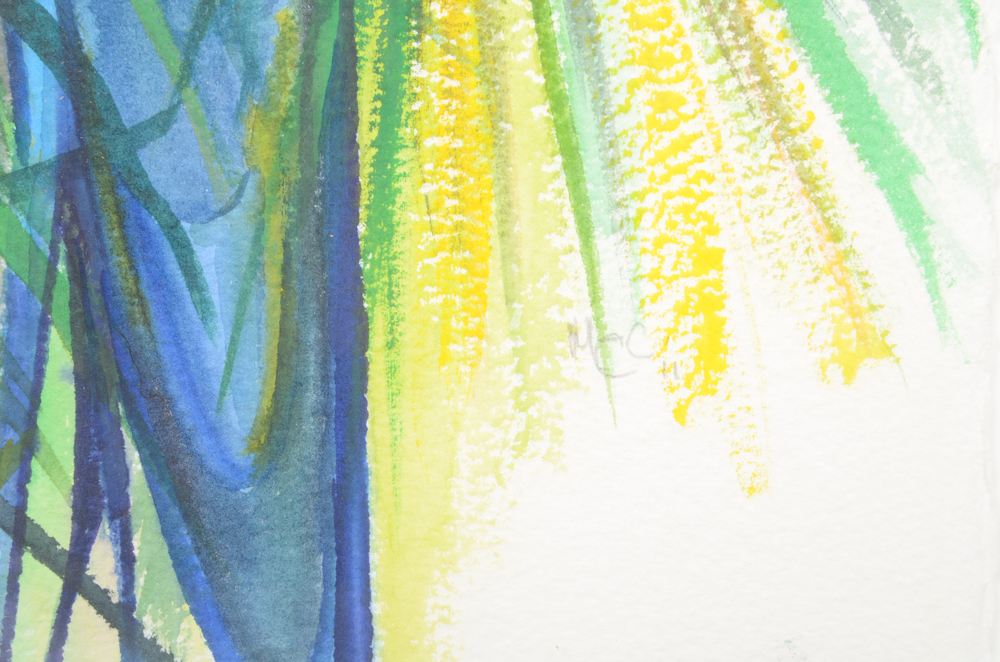 Mary-Clare Cornwallis Watercolor Paintings on Paper of Parrots