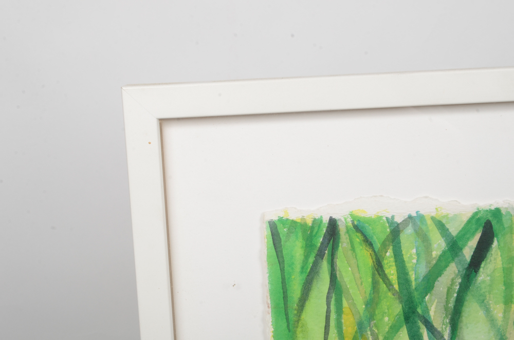 Mary-Clare Cornwallis Watercolor Paintings on Paper of Parrots