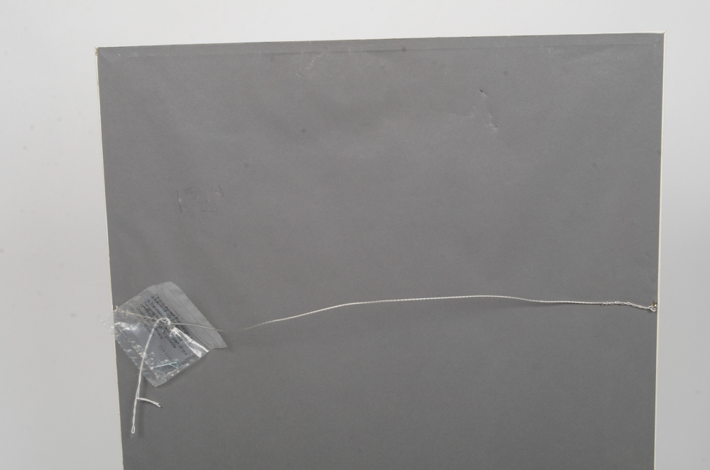 Mary-Clare Cornwallis Watercolor Paintings on Paper of Parrots