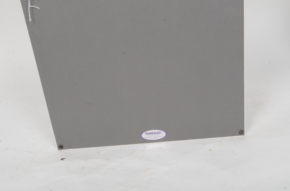 Mary-Clare Cornwallis Watercolor Paintings on Paper of Parrots