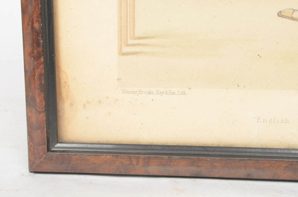 Collection of Vincent Brooks, Day & Sons Chromoithographs From "Vanity Fair"