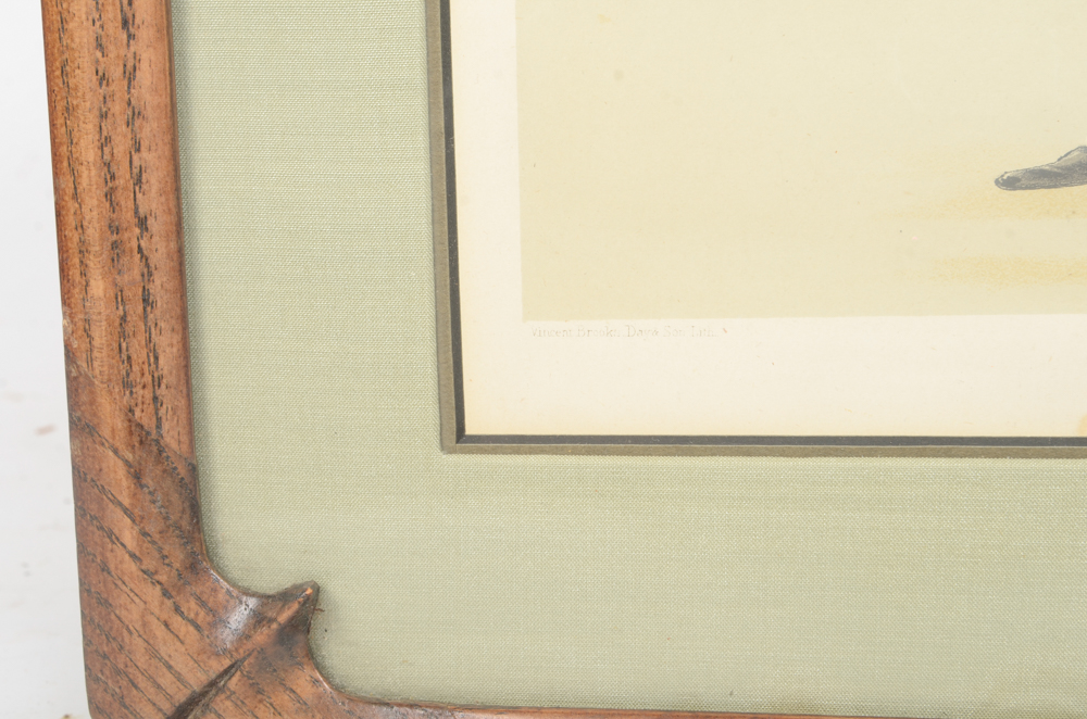 Group of Framed Vincent Brooks Day & Son Chromoithographs From Vanity Fair