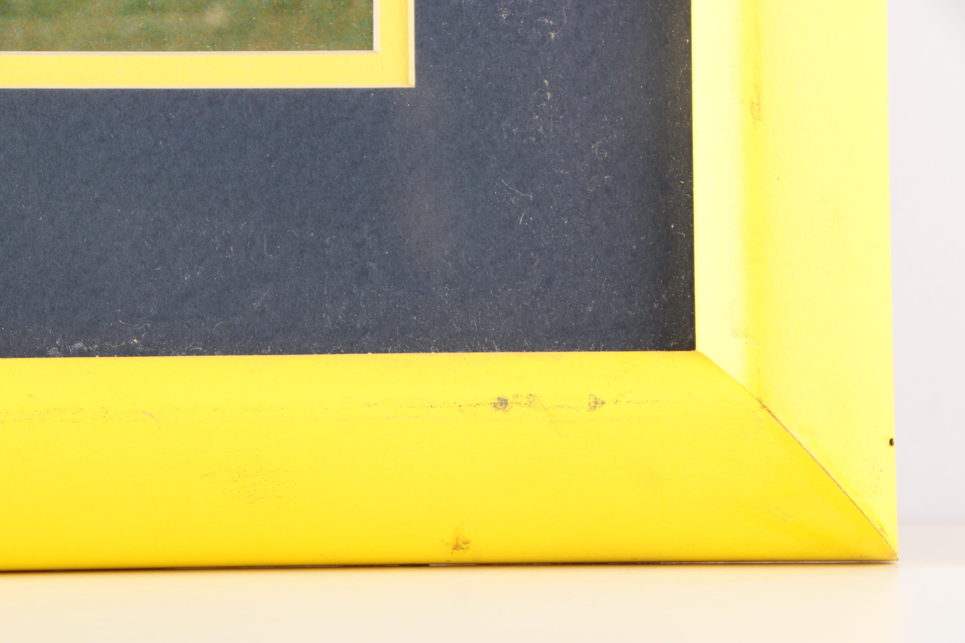 Michigan Wolverines and Ohio State Buckeyes Framed Photograph