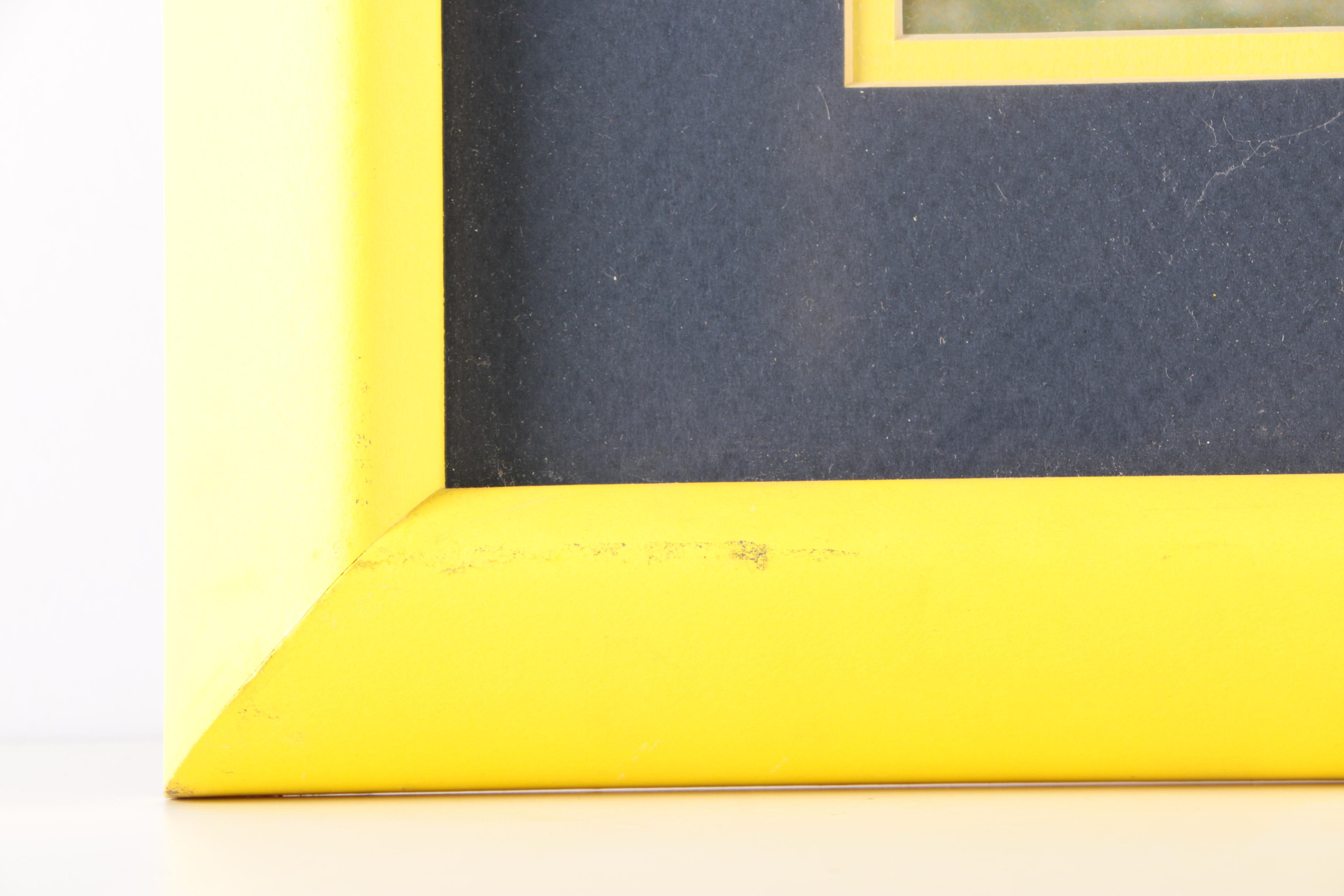 Michigan Wolverines and Ohio State Buckeyes Framed Photograph