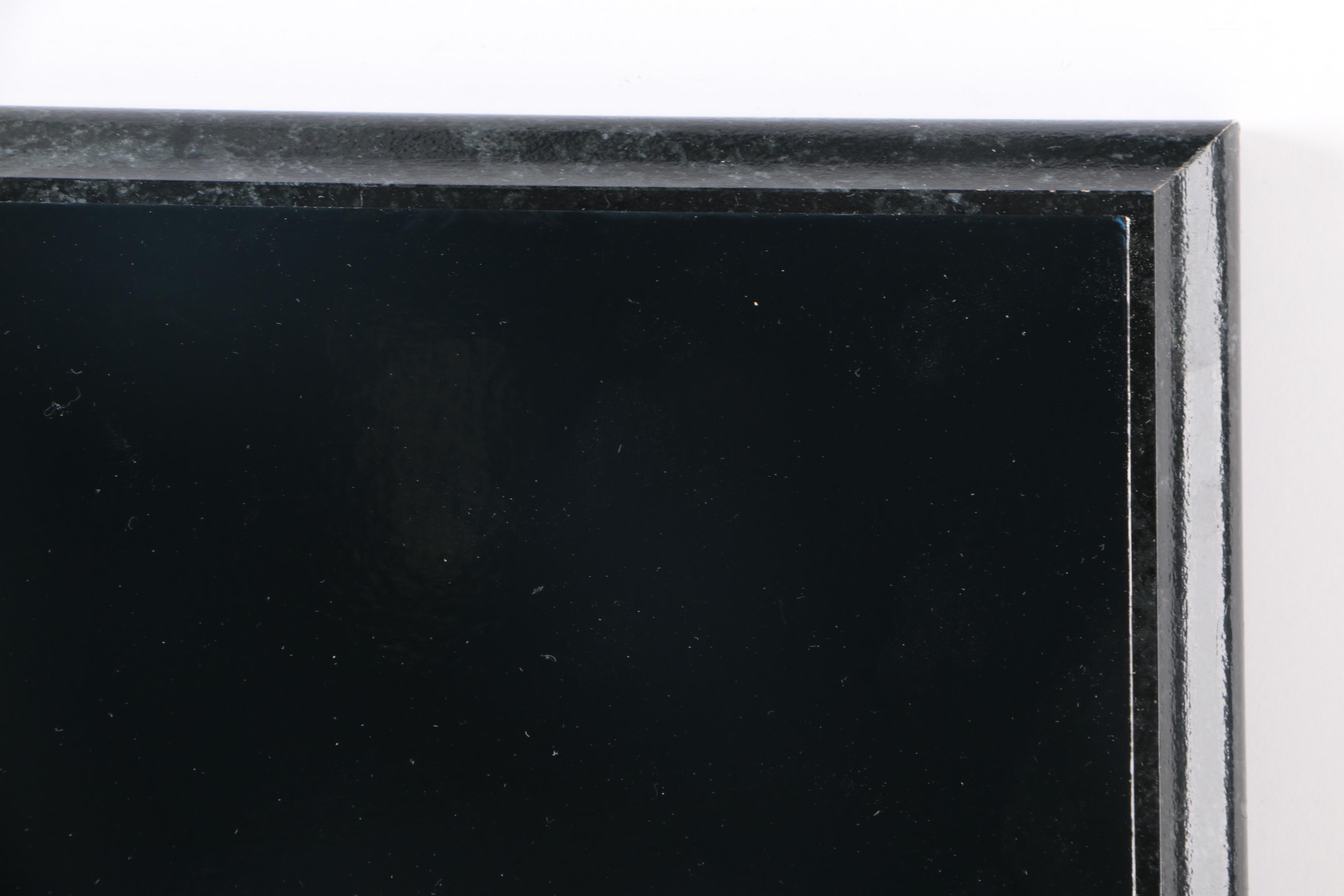 Michigan Wolverines and Ohio State Buckeyes Framed Photograph