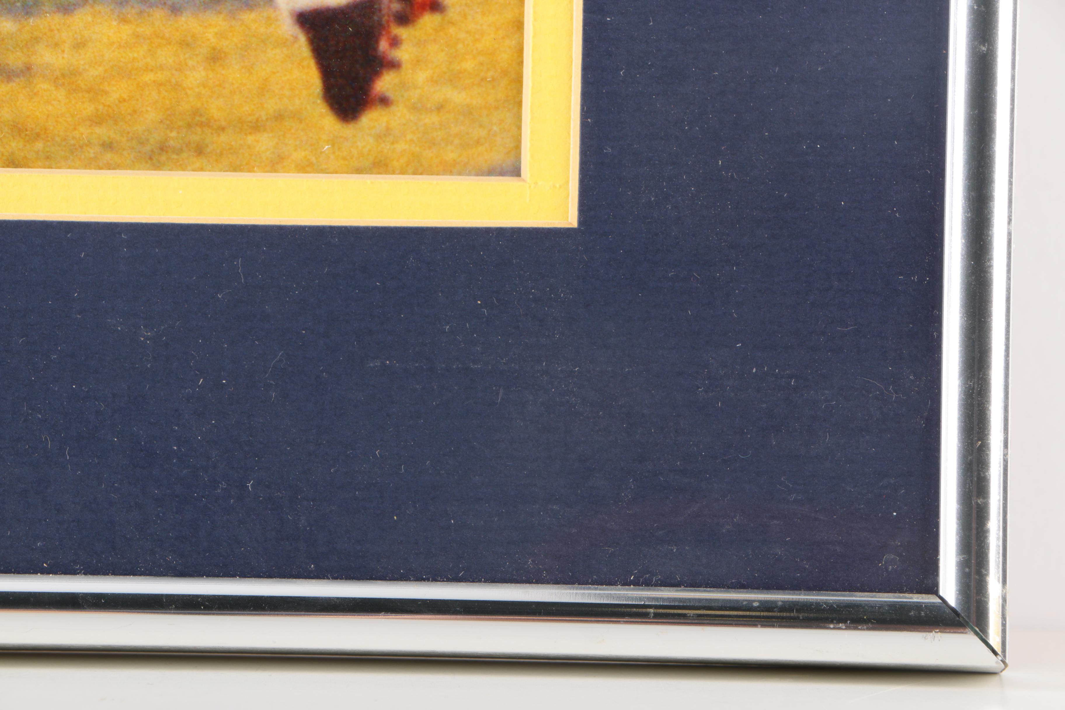 Michigan Wolverines and Ohio State Buckeyes Framed Photograph