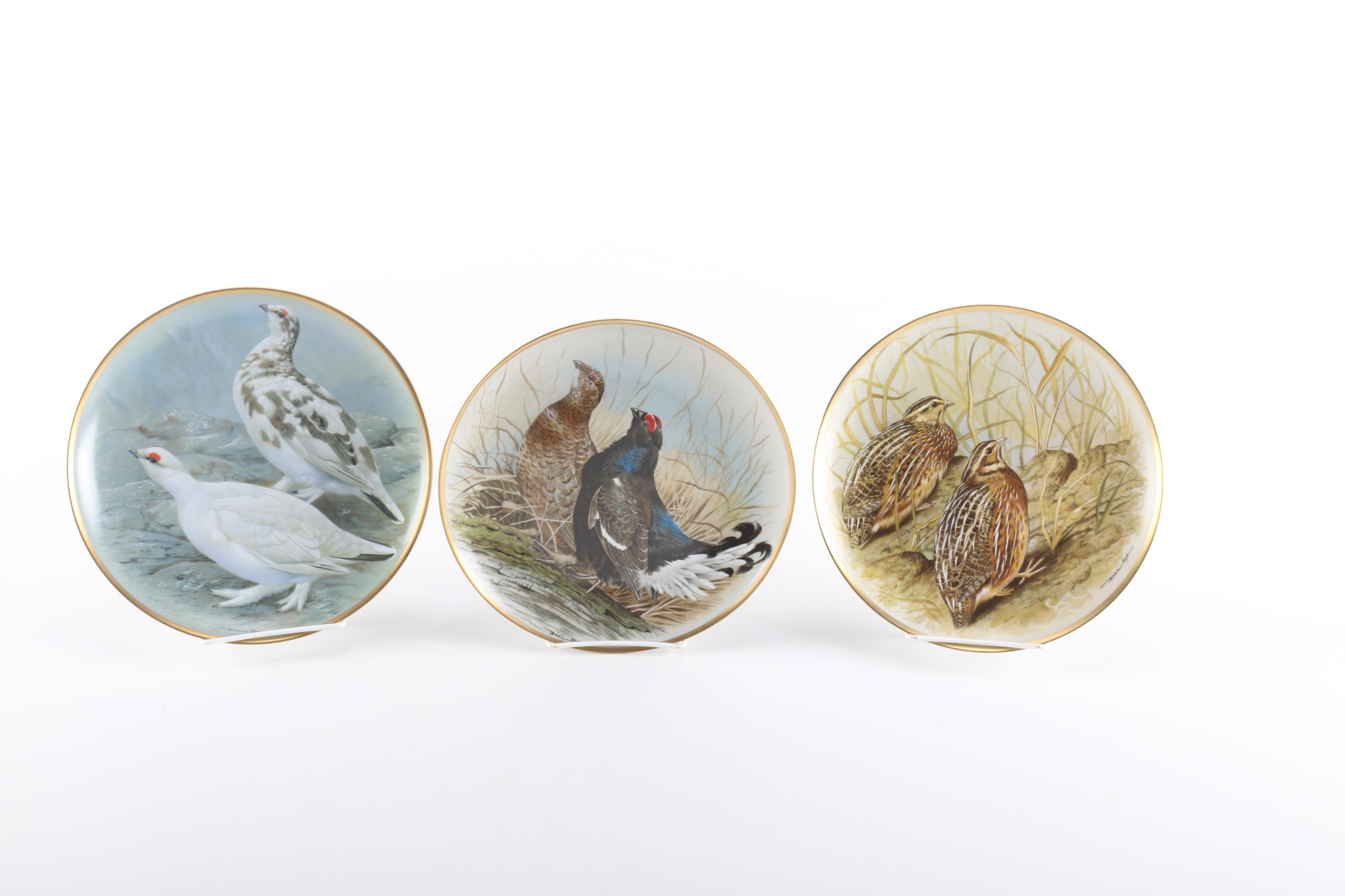 "Game Birds of the World" Limoges Porcelain Plates