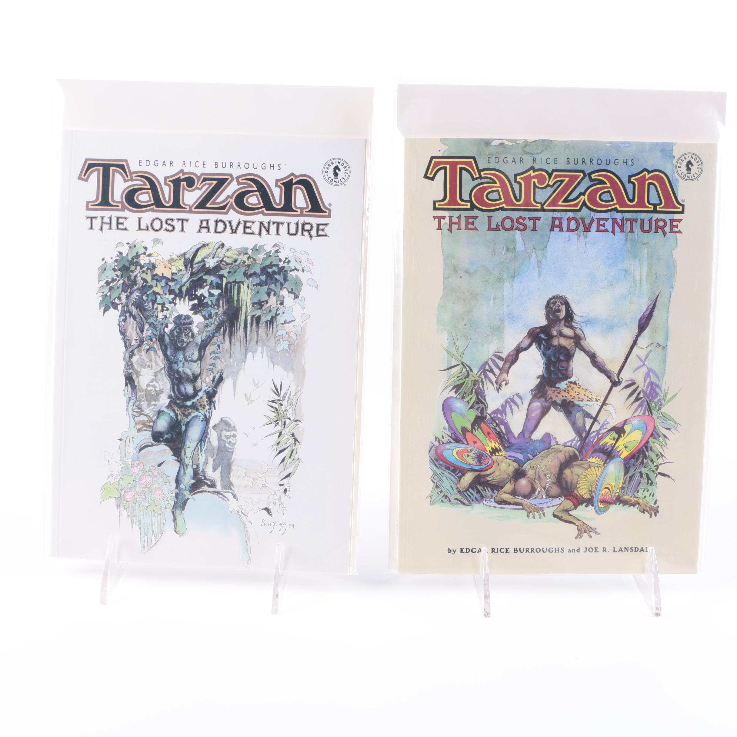 Assorted Modern Age Dark Horse Comics and Graphic Novels