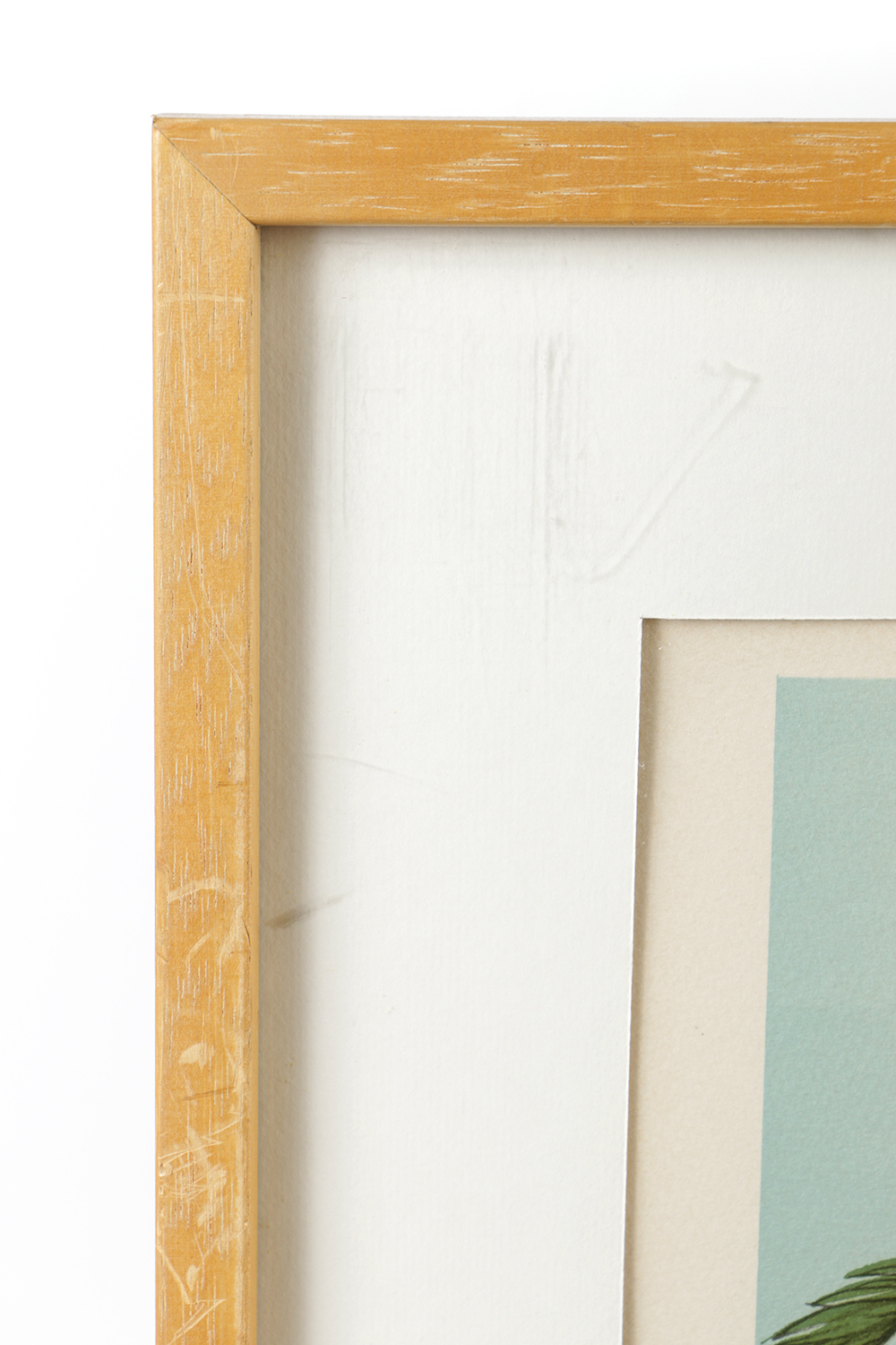 Limited Editing Lithograph on Paper of a Tropical Landscape