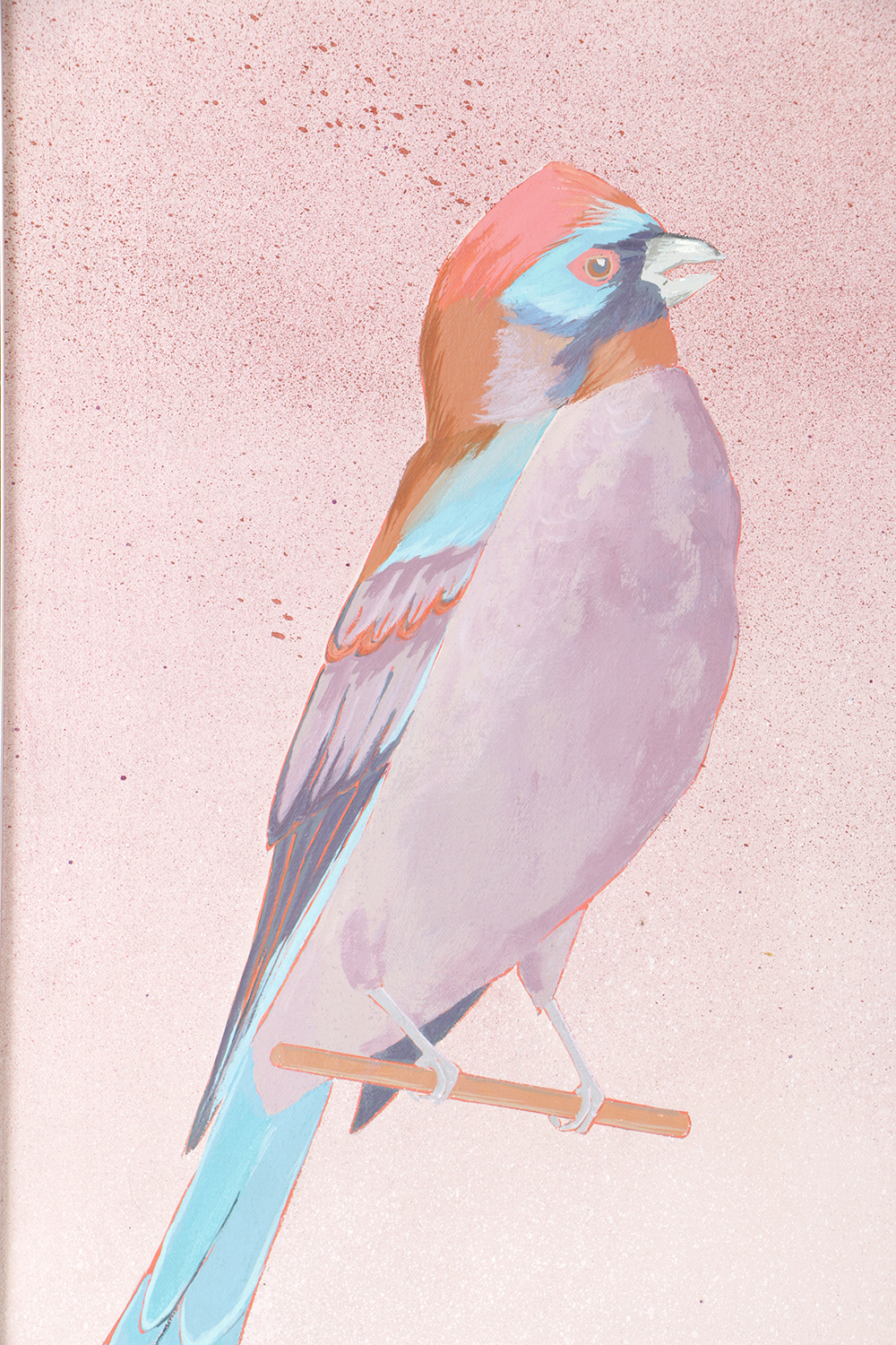 Alvena McCormick Acrylic Painting on Canvas "Male Bunting"