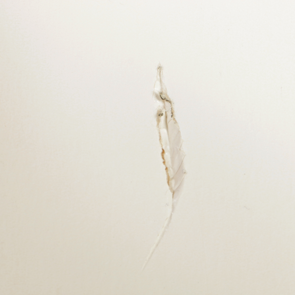 Newport Jazz Festival Giclee Poster on Paper