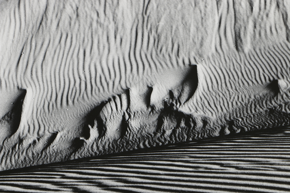 Silver Gelatin Print on Paper after Edward Weston "Dunes, Oceano"
